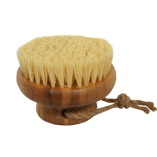 [WSBODBRU] Olio Body Brush